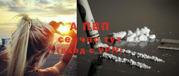 соль ск Горнозаводск