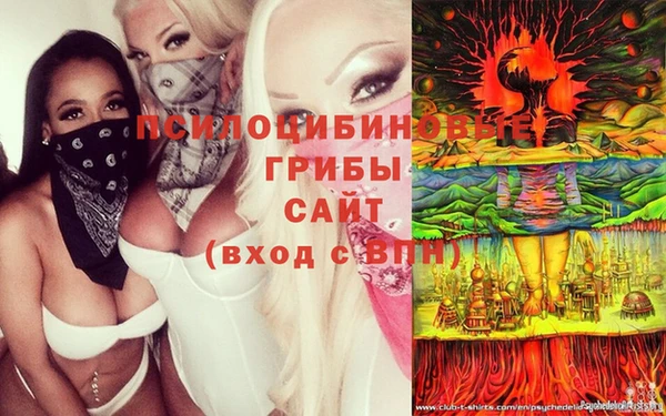 винт Балахна